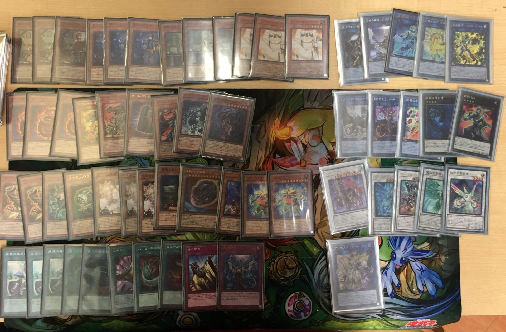 【大会結果】遊戯王【7月24日】